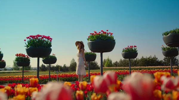 Όμορφος κήπος λουλουδιών την άνοιξη με γυναικεία σιλουέτα. Ανθισμένη τουλίπα — Φωτογραφία Αρχείου