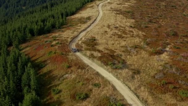 Mountain aerial car view going on small rocky road among green sequoia trees — Vídeos de Stock