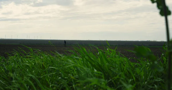 바람에 흔들리는 들판의 풀. 농지에서 일하는 농부. — 스톡 사진