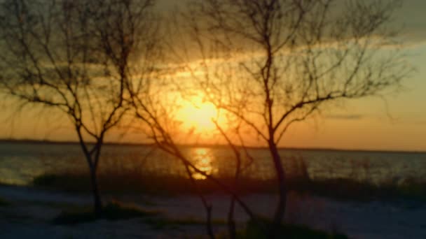 Západ slunce vodní horizont zářící na žluté obloze v moři příroda pozadí. — Stock video