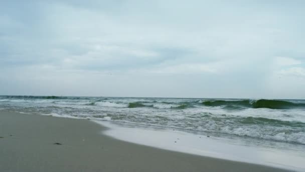 Fale rozbijają piaszczystą plażę na szarej pochmurnej pogodzie. Widok z lotu ptaka. — Wideo stockowe