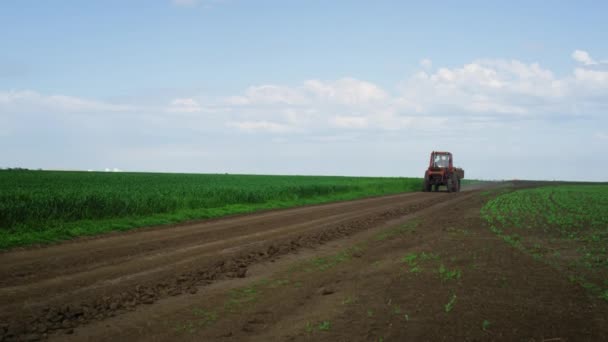 Terepi traktor szántás művelés mezőgazdaságban természet táj. Gazdaság fogalma. — Stock videók