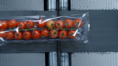 Plastik domates paketlerinde taze organik sebzeler taşınıyor.