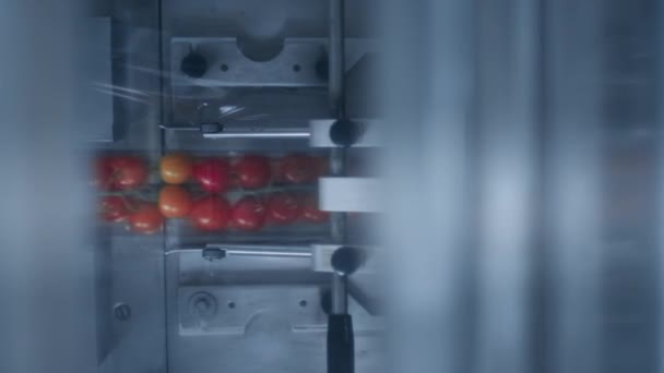 Linea di confezionamento pomodoro primo piano processo di lavorazione muovendo scatole di verdure rosse fresche — Video Stock