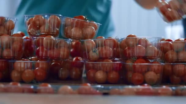 Заводський робітник томатних пакетів перевірка якості продукції крупним планом — стокове відео