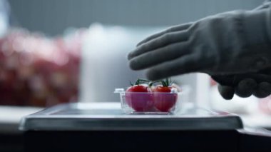 İşçi kiraz domateslerini paketliyor, parçaları yakın plan kesiyor.