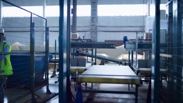 직업적 인 공장 종업원들 이 발송분을 조사하는 모습 — 비디오