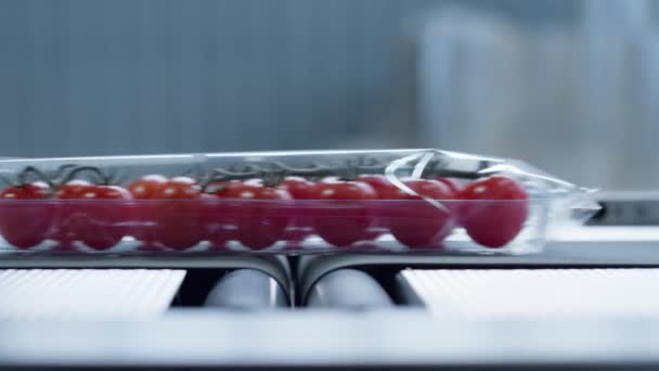 Fabbrica Confezioni di plastica di pomodoro in movimento sulla linea di nastri trasportatori tecnologici primo piano — Video Stock