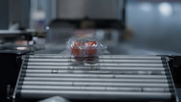 トマトパックマシンコンベア製造クローズアップで自動的にボックスを移動 — ストック動画