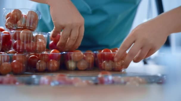 Fabrikangestellte sortiert Tomaten und überprüft die Qualität des Produkts auf dem Förderband — Stockvideo