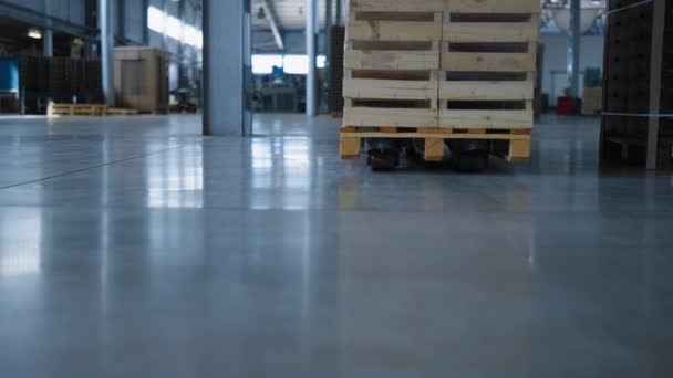 Storehouse paletes de transporte carregador processo de trabalho empilhamento caixas de suprimentos — Vídeo de Stock