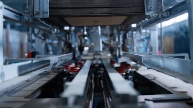 Depo üretim tesisinde çalışan karton kutu taşıyıcısı.