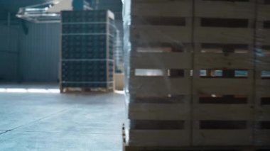Depo aracı kutuları taşırken dağıtım paletleri sıralama paketlerini dışarıya aktar