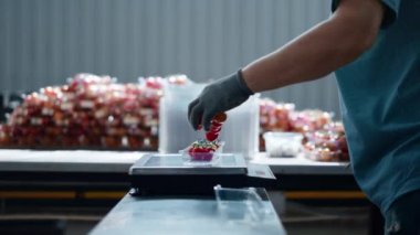 Bahçede organik gıda tartan domates paketleyen işçiler.