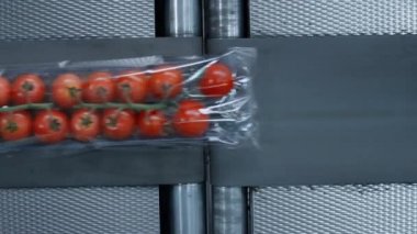 Plastik domates paketlerinde taze organik sebzeler taşınıyor.