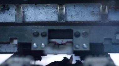 Üretim taşıma hattını oluşturan kapanış üretim taşıma makinesi