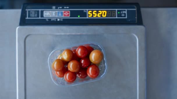 身份不明的工人在包装红色有机蔬菜盒的西红柿中称重 — 图库视频影像