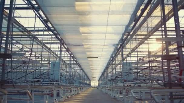 Внутрішнє порожнє заводське приміщення з технологічно зростаючими пристроями агровиробництва — стокове відео