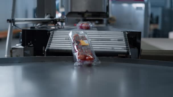 Confezioni di plastica di pomodoro in movimento presso la macchina nastro trasportatore tecnologico primo piano — Video Stock