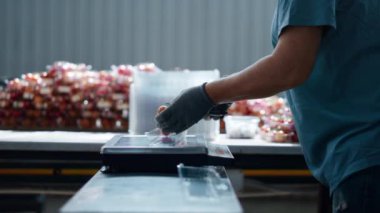 Fabrika domates tartısı taze bahçıvanlık ürünlerini sınıflandırıyor.