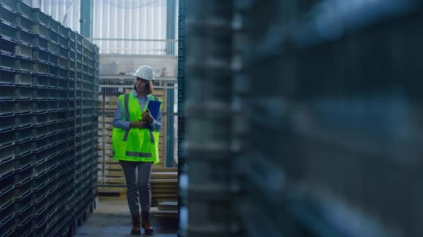 Opslag vrouw werknemer noteren levering details controleren verzending pallets denken — Stockvideo