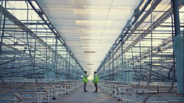 Due supervisori di fabbrica digitali discutono il livello di produzione in serra vuota — Video Stock