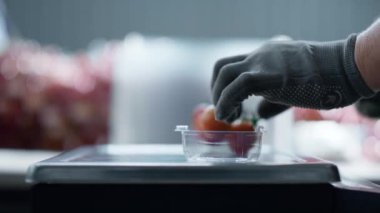 İşçi elleri vişneli domatesleri paketliyor plastik kutuları kaldırıyor ve yakın plan kesiyor.