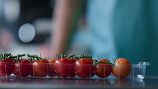Fabrik tomat låda förpackning process arbetare händer sortera röd ekologisk mat närbild — Stockvideo
