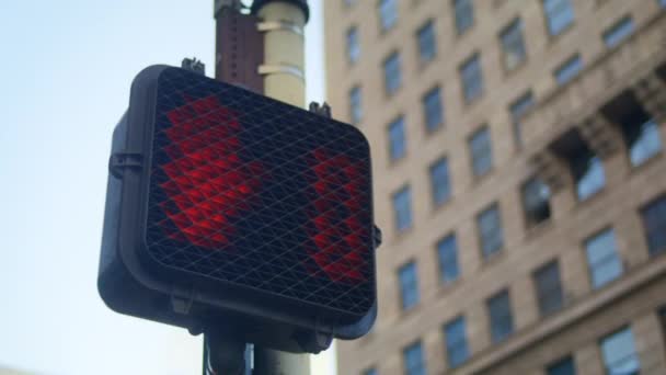 Pedestrian crossing light hanging on traffic pole on sidewalk pavement closeup. — Stock Video