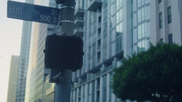 Stop signal pedestrian on road close up. Red hand up blinking on black screen. — Stock Video