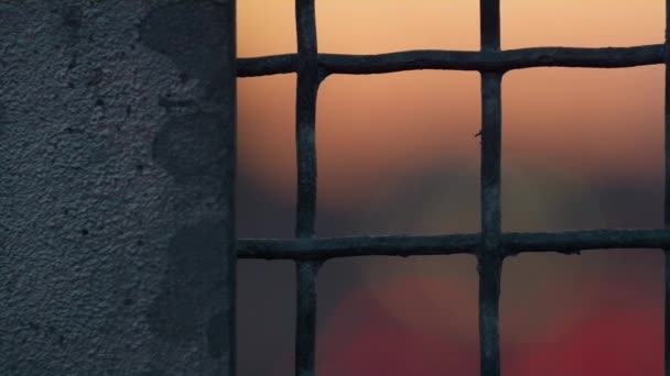 Closeup filet de clôture en métal avec peeling vieille peinture au coucher du soleil. Concept de restriction — Video
