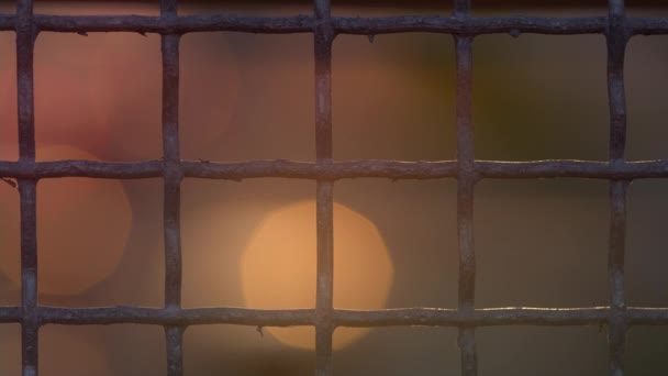 Close up squared iron netting outdoors. Yellow red Bokeh lights moving flowing — Stock Video