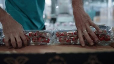 Kapalı domates fabrikası bilinmeyen bahçıvan eli sıralama sürecini paketliyor