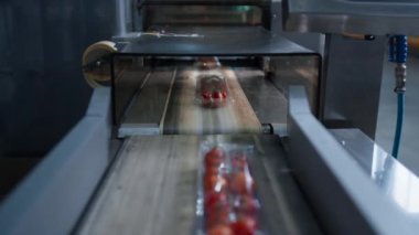 Taze organik paketleri otomatik olarak taşıyan domates paketleme makinesi