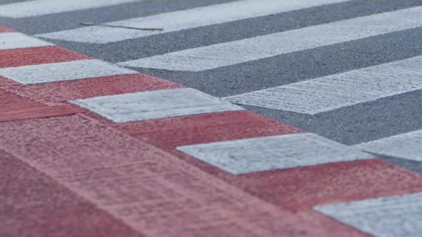 Närbild fotgängare korsning linjer på asfalterad väg. Reglering av stadsrörelser. — Stockvideo