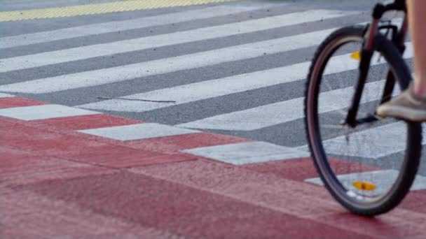 Hombre ciclista montando travesía en bicicleta. Piernas masculinas ruedas rodantes de cerca. — Vídeos de Stock