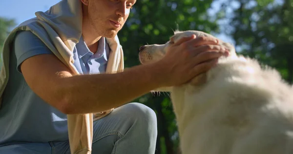 Content stylish man give dog food complimenting pet after training in park. — Stock Photo, Image