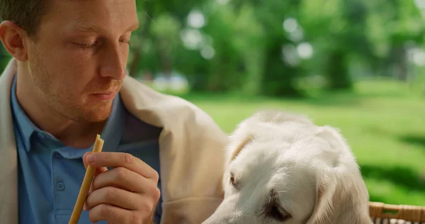 Close-up aantrekkelijke man voeden schattige hond op picknick. Labrador snuift broodstokje — Stockfoto