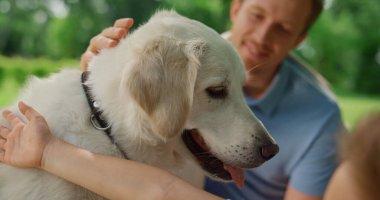 Mutlu köpek piknikte yakından okşamaktan hoşlanır. Gülümseyen adam beyaz evcil hayvanı okşar.