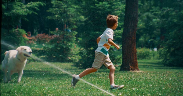 Active little boy running playing with dog on field with sprinklers on sunny day — Stock Photo, Image