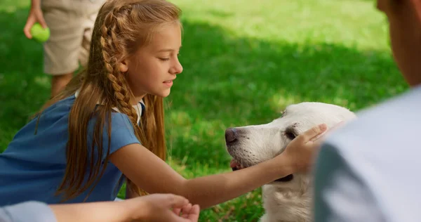 Happy girl fondling labrador on picnic closeup. Children play with dog on meadow — Stock Photo, Image