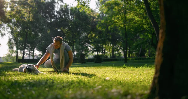 Homem relaxado a acariciar golden retriever. Brincalhão cão mastigar trela deitado na grama — Fotografia de Stock