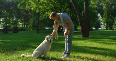 Sarışın adam Golden Retriever 'ı okşuyor. Konsantre köpek otur ve parka bak.