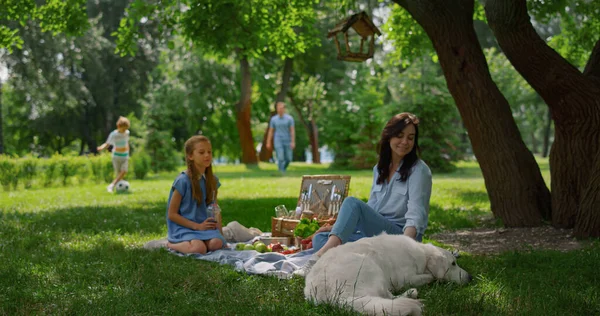 Aktív családi kikapcsolódás pikniken a parkban. A szülők jól érzik magukat a gyerekekkel és a kutyával. — Stock Fotó