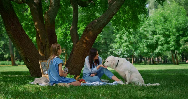 Fröhliche Mutter füttert Labrador beim Picknick. Mutter sitzt mit Tochter auf Decke — Stockfoto