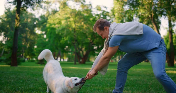 Игровая собака держит поводок в зубах, играя. Улыбающийся мужчина тянет веревку в парке. — стоковое фото