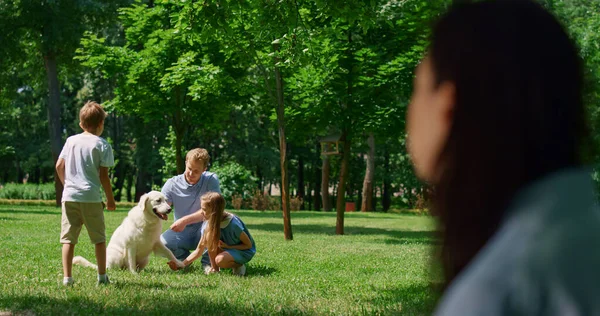 Женщина смотрит, как семья играет с собакой в парке размытый вид. Концепция жизни. — стоковое фото