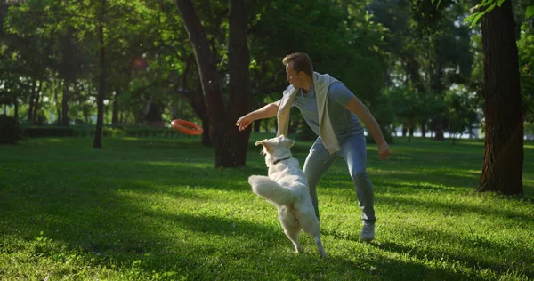 Smiling handsome man training dog f. Owner raise hand throwing puller pink toy. — Stock Photo, Image