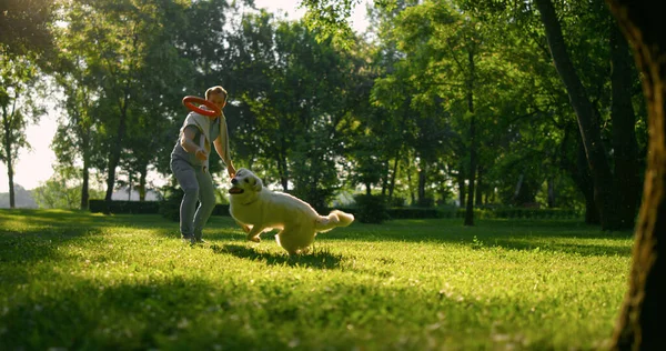 Vonzó férfi dobott húzó játék a parkban. Energetikus kutyafuttatás fogógyűrű. — Stock Fotó