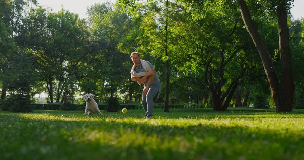 Proprietário atraente jogando bola no parque. Cão energético pegando brinquedo com boca. — Fotografia de Stock